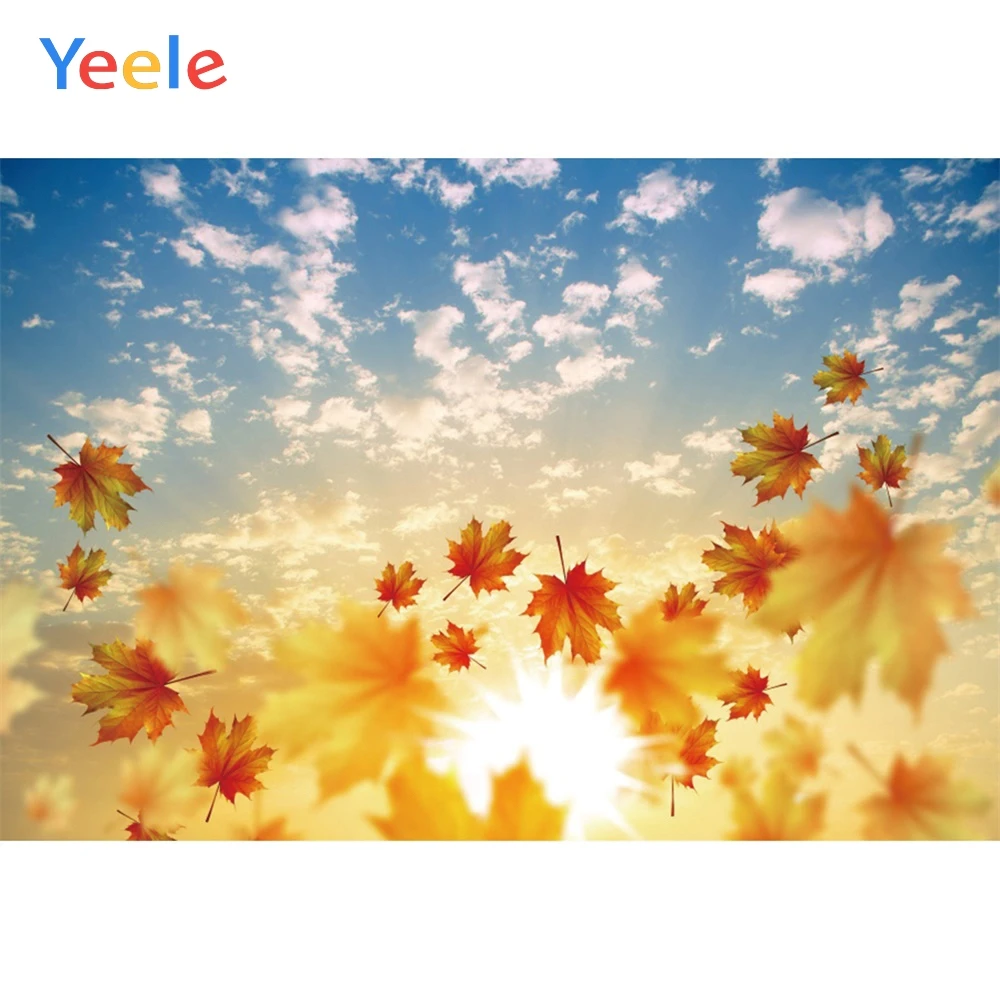

Yeele landscape Fallen Red Maple Leaves Sky Cloud Photography Backdrops Personalized Photographic Backgrounds For Photo Studio