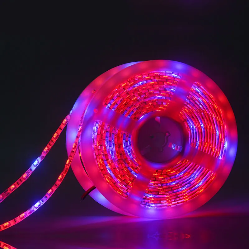 Foxanon 5 м Светодиодные Фито лампы полный спектр светодиодные полосы света 5050 чип LED