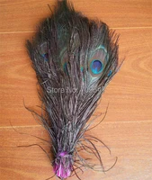 100pcslot10 12inches rose peacock feathers with rose quills rose peacock tail feathers for costume suppliesflower arrangement