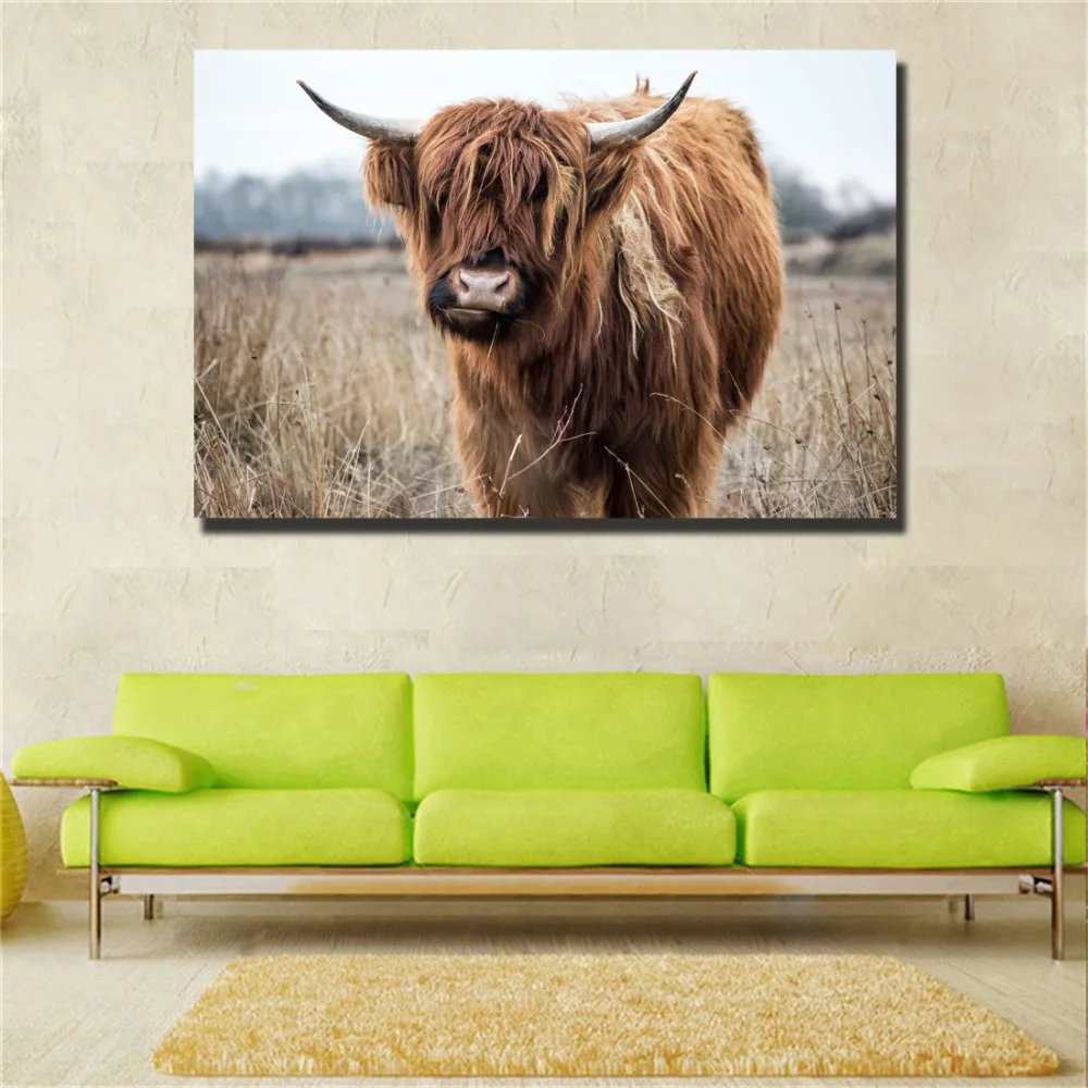 Highland корова настенное искусство холст печать реалистичные животные настенные