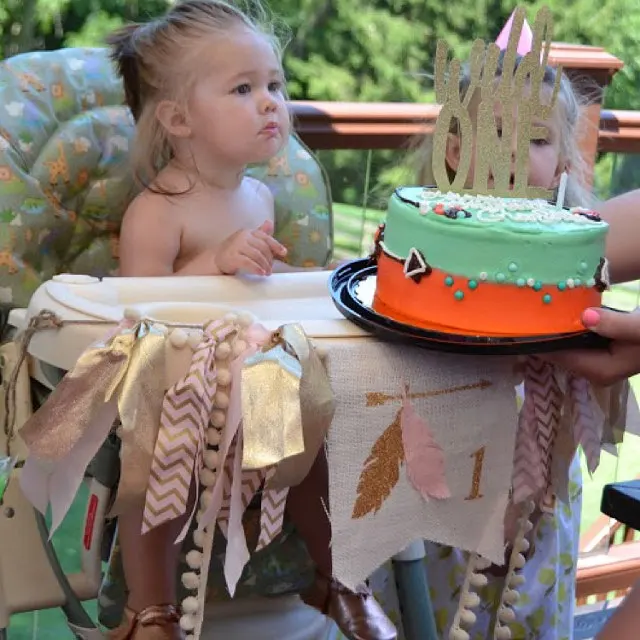 2017 Бесплатная доставка Дикие один день рождения стульчики для кормления