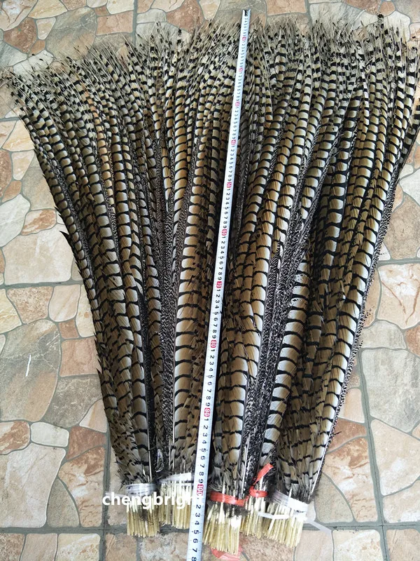 В наличии оптовая продажа 10 шт. натуральные весенние перышки украшения для