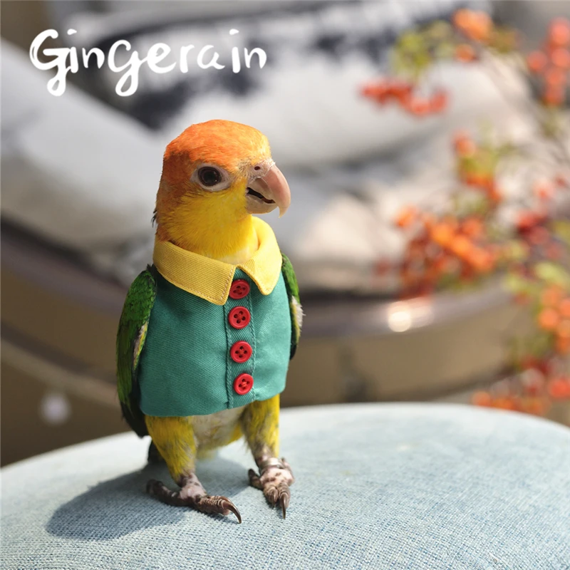 Gingerain одежда с птицами попугай одежда кнопка рубашка оригинальная ручная работа на заказ одежда с птицами пуговица рубашка