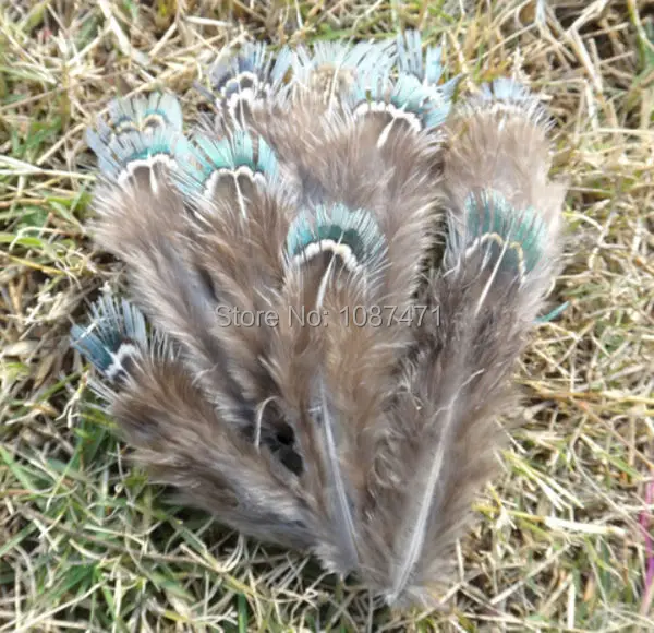 50 шт 4-7 см натуральный зеленый цвет полосы перья из хвоста фазана для ювелирных