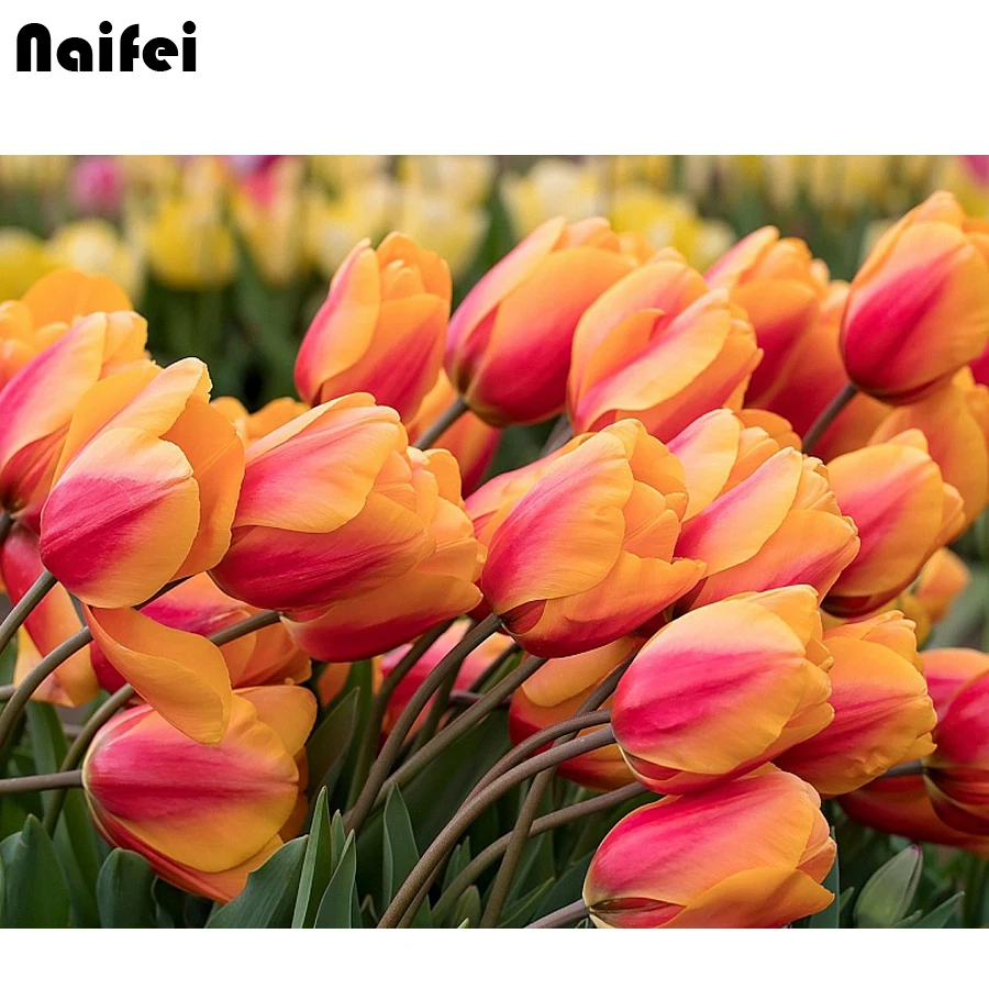 Сделай Сам 5D алмазная картина крестиком тюльпан желтый цветок полная квадратная