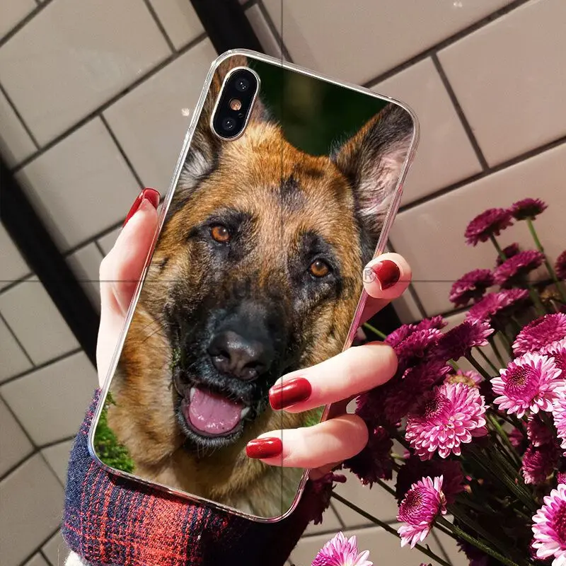 Мягкий чехол для мобильного телефона Ruicaica с рисунком немецкой овчарки Apple iPhone 8 7 6