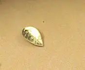 gold 100 шт 4x7 мм античная бронза/родий/посеребренный маленький лист амулеты ювелирные изделия Шарм DIY ожерелье браслет серьги фурнитура - Окраска металла: gold