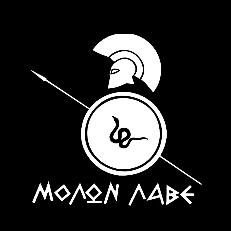 Momon LABE Spartan шлем автомобиля стикер щит виниловые наклейки 14 9 см * 15 2