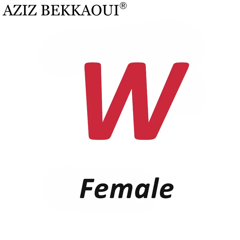 Female W AZIZ BEKKAOUI DIY обслуживание на заказ специальный зимний подарок для друзей, любимых подарок на день Святого Валентина Прямая поставка 3040-49 - Окраска металла: Female W