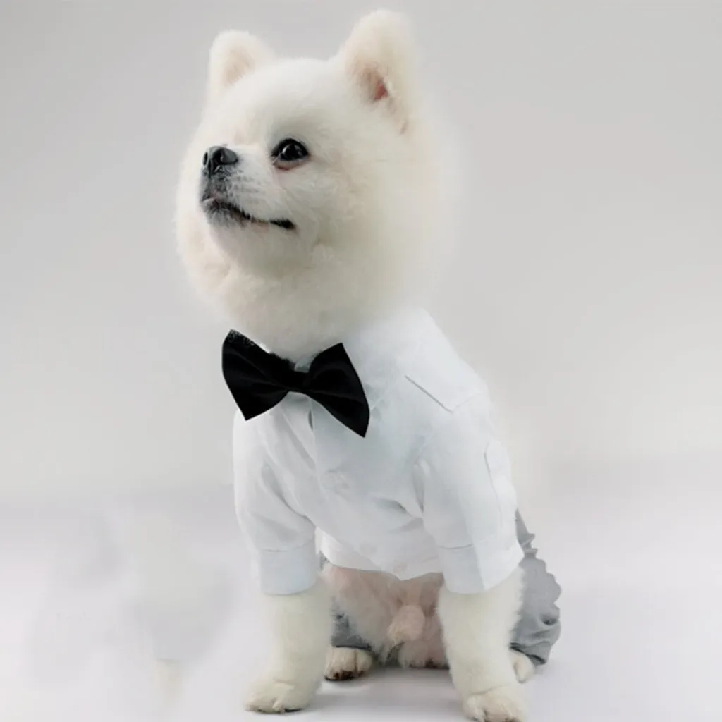 Рубашка Trsnser для собаки новинка рубашка питомца брюки костюм свадебная одежда