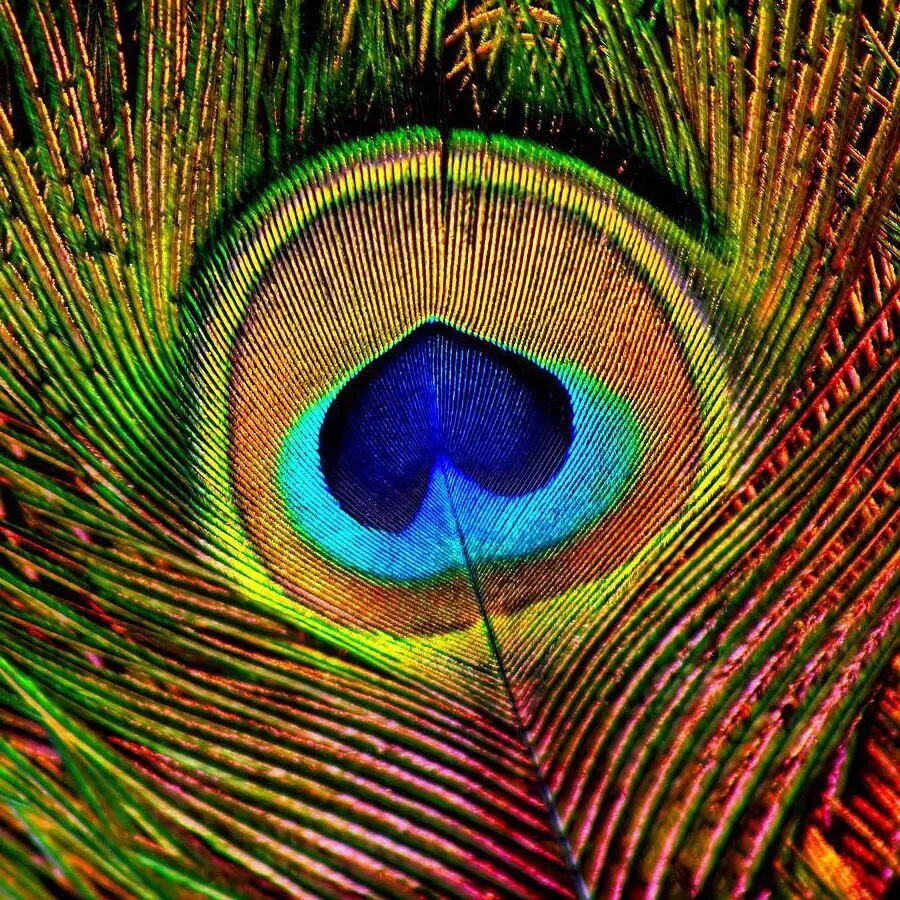 Индивидуальная роспись павлина искусство Мерцающая Нефритовая мозаика плитка