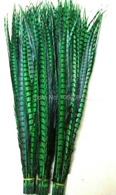 

EMS Free Shipping 80-90cm 30-35 inches 50pcs Green ringneck Lady Amherst pheasant tails pheasant feather