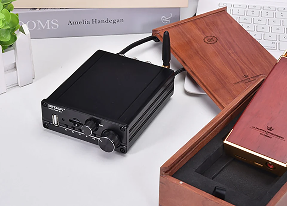 2,1 TPA3116 Bluetooth 5,0 аудио усилитель мощности сабвуфера 50Wx2+ 100 Вт USB AUX усилитель цифровой Hifi домашний усилитель