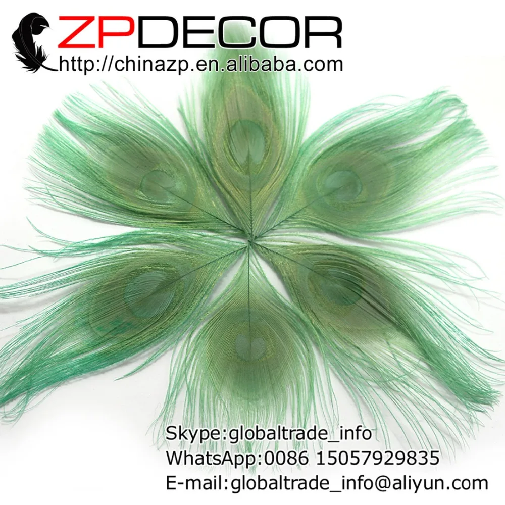 ZPDECOR 50 шт./лот 10-12 см (4-5 дюймов) высокое качество красивый узор окрашенный мятно-зеленый подстриженный хвост павлина перо для глаз