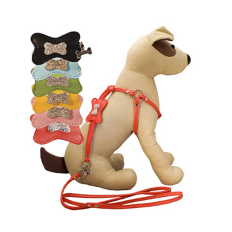 Замечательный маленькая собака проводов и поводок поставляет Дизайнер
