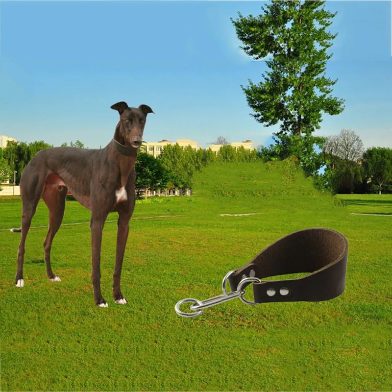 Ошейник для собак Whippet Кожаные Ошейники Greyhound кожаный ошейник мягкая подкладка