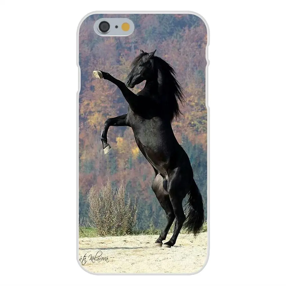 Picture Phone Case The Black Horse Animal For Galaxy A3 A5 A7 A8 A9 A9S On5 On7 Plus Pro Star 2015 2016 2017 2018 | Мобильные