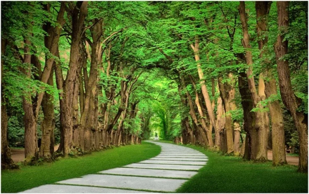 Пользовательские фото обои 3d настенные фрески лес камень дорога 3D пейзаж фон