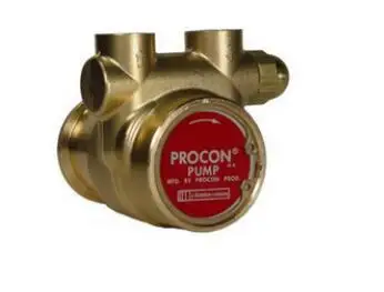 

Procon 112A035F11DB130 Rotary Vane Brass Water Pump