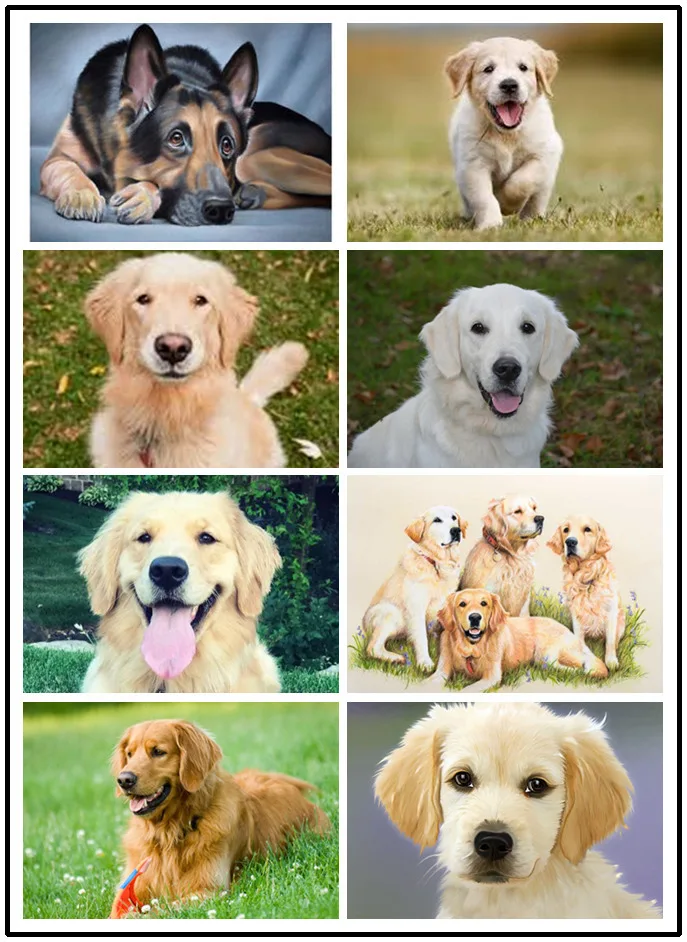 

LIPHISFUN DIY Алмазная вышивка, вышивка крестом, полностью квадратная/круглая дрель, домашний декор, собака, животное, милый