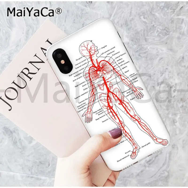 MaiYaCa, медицинский, человеческий, головной, меридиан, почка, искусство, Модный чехол для телефона, для iphone 11 pro 8 7 66S Plus X 5S SE XR XS MAX