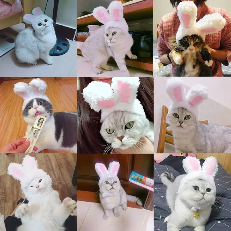 Смешные Pet Cat Кепки костюм кролика шляпу партии Косплэй аксессуары Головные