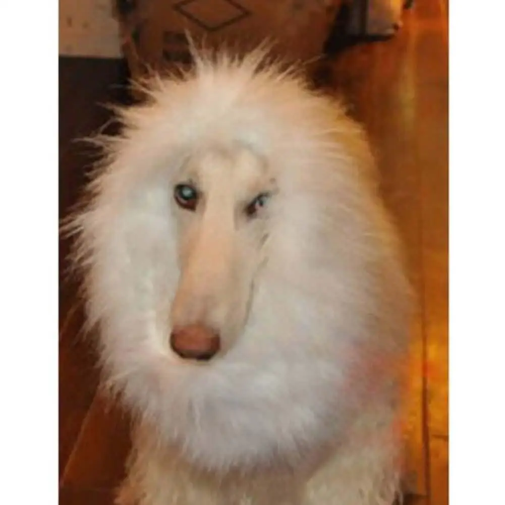 

White Pet Costume Dog Wigs Mane Hair Festival Party Fancy Dress up Halloween Costume pet hair pet hair M