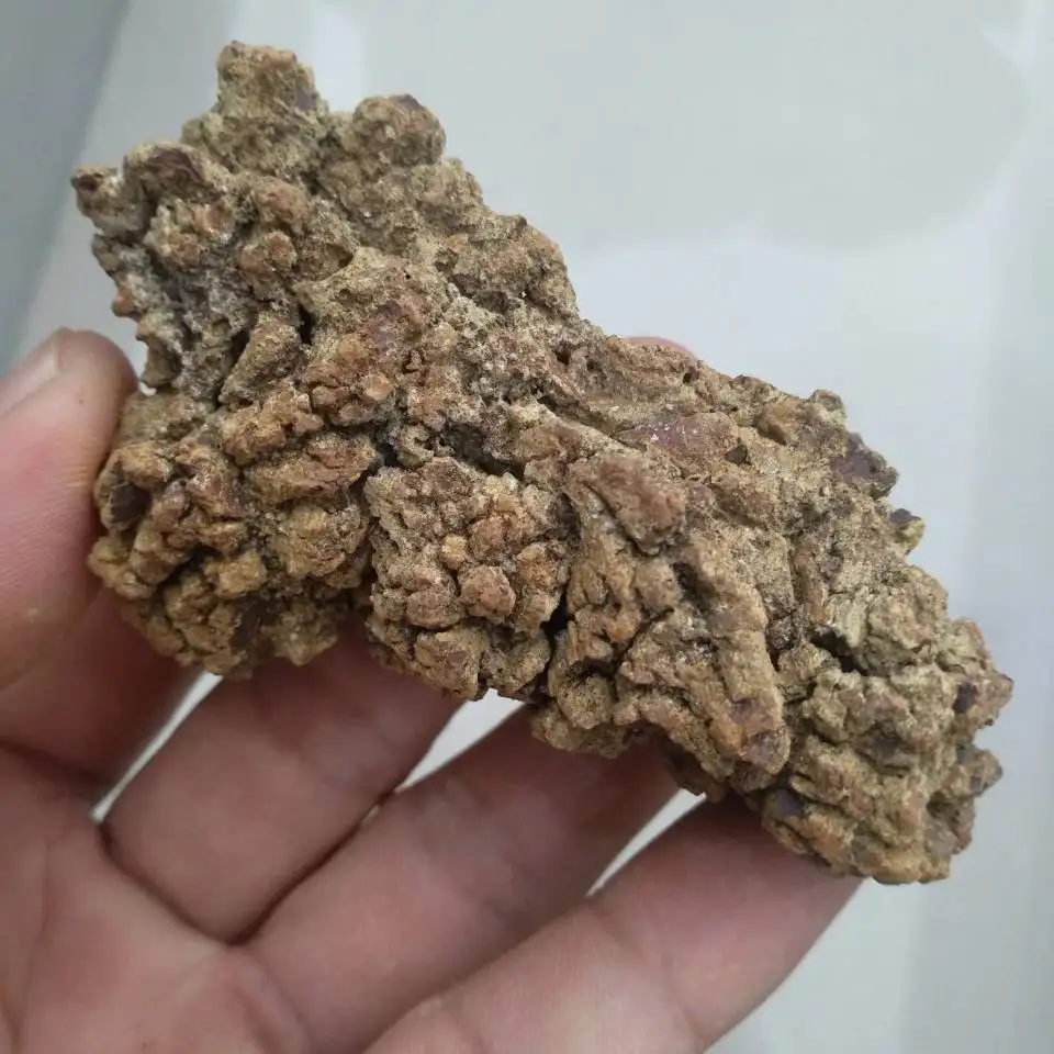 1 шт ископаемые динозавра какашки, динозавр Coprolite 150 г