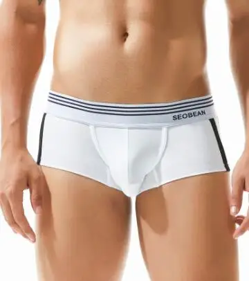 Белый Мужские сексуальные Стрейчевые боксеры, ropa interior hombre, мужское нижнее белье, трусы-боксеры с низкой посадкой, 5 цветов, нижнее белье, homme, мягкие трусы hombre - Цвет: Белый