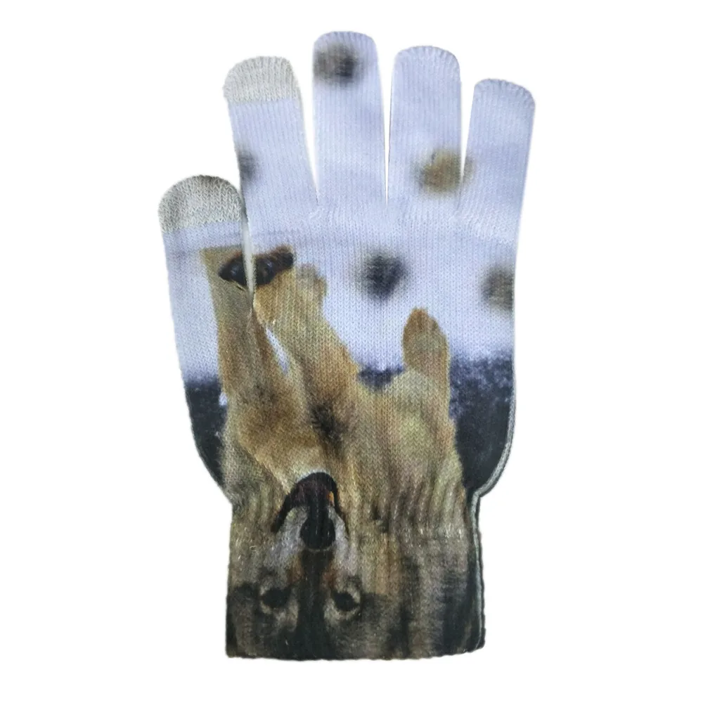 Женские перчатки guantes, мужские, сохраняющие тепло, 3D принт, вязаные, для экрана телефона, Китти, питомец, милые перчатки, удобные, rekawiczki, зимние перчатки L50