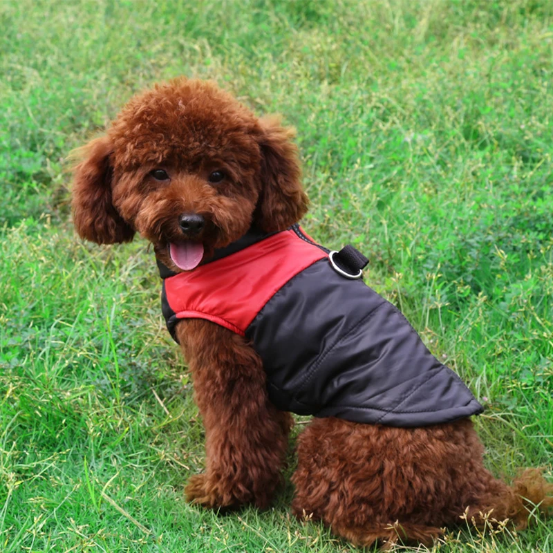 Зимние теплые товары для домашних животных водонепроницаемое пальто на молнии