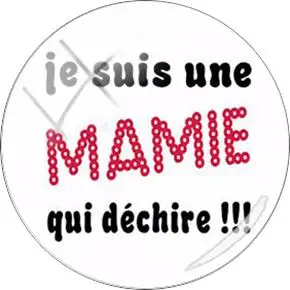 JWEIJIAO французский "Je Suis Une Maitresse Qui Dechire' стеклянный кабошон купольный Merci Maitresse для брелока ожерелье DIY Подвески на заказ - Цвет: CT273
