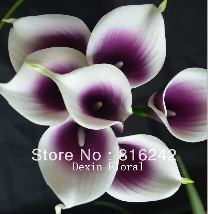 Фиолетовые цветы Picasso Calla Lily Real Touch для свадебных букетов | Дом и сад