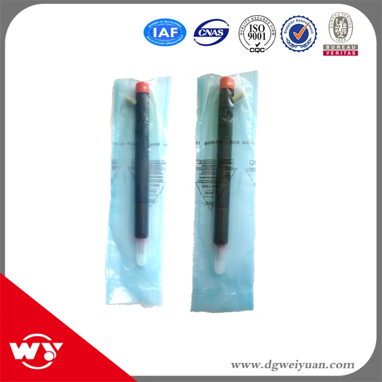 

the common rail injector, the Gun EJBR04501D,6640170121