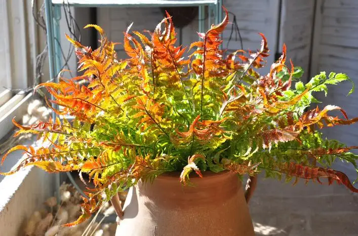 Настоящее прикосновение персидская трава 7 ветвей настенный зеленый лист