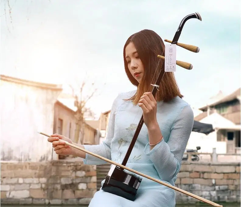 Китайский Erhu твердой древесины Две Струны для скрипки эксклюзивный Выгравированный код Urheen музыкальные Струнные инструменты с канифоль лук и чехол