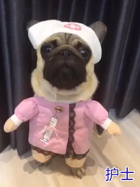 KIMHOME PET одежда для собак для маленьких собак интересный одежда-для-собак Ролевая игра Осень и зима чихуахуа пальто Французский бульдог одежда для животных Подходит для собак и кошек среднего размера 15 видов стилей - Цвет: nurse