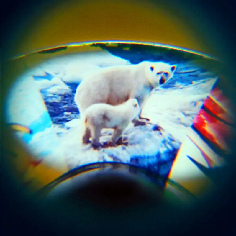 Пластиковая камера для детей 1 шт. игрушки животных развивающая фото