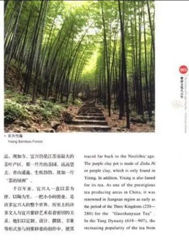 1 шт. фиолетовый глиняный горшок история книга на английском китайском изучении