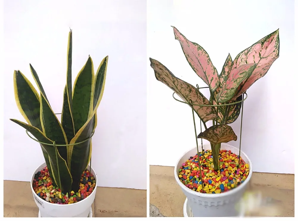 3 шт Большие Садовые кольца поддержки растений ноги | Дом и сад