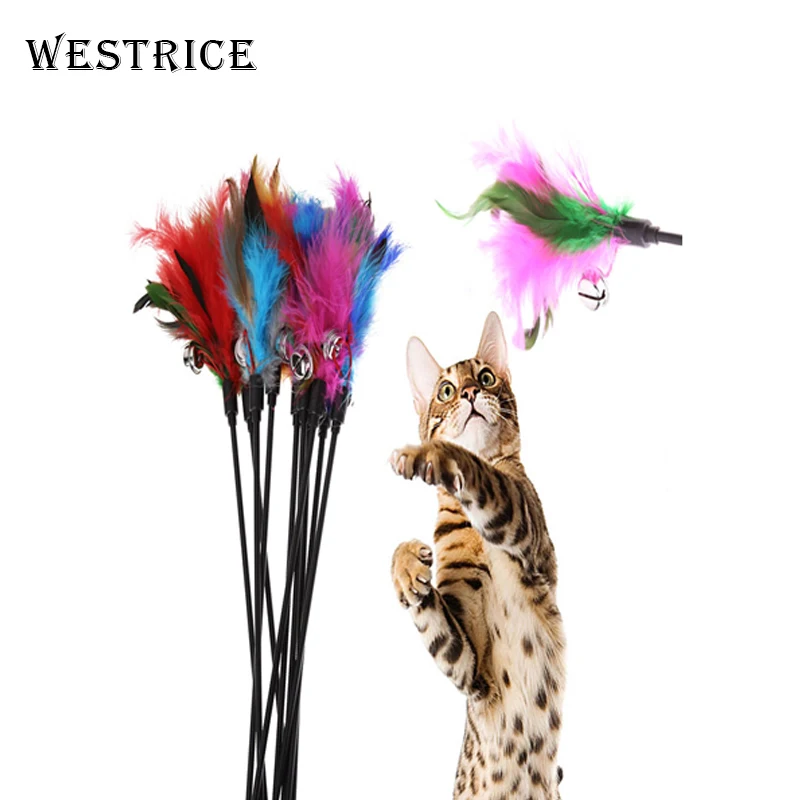 

Westrice Long Rod Pets Toy Fashion Cat Play Feather Teaser Small Feather Stick Funny Cat Toys Pet Toys Dog Toy 10