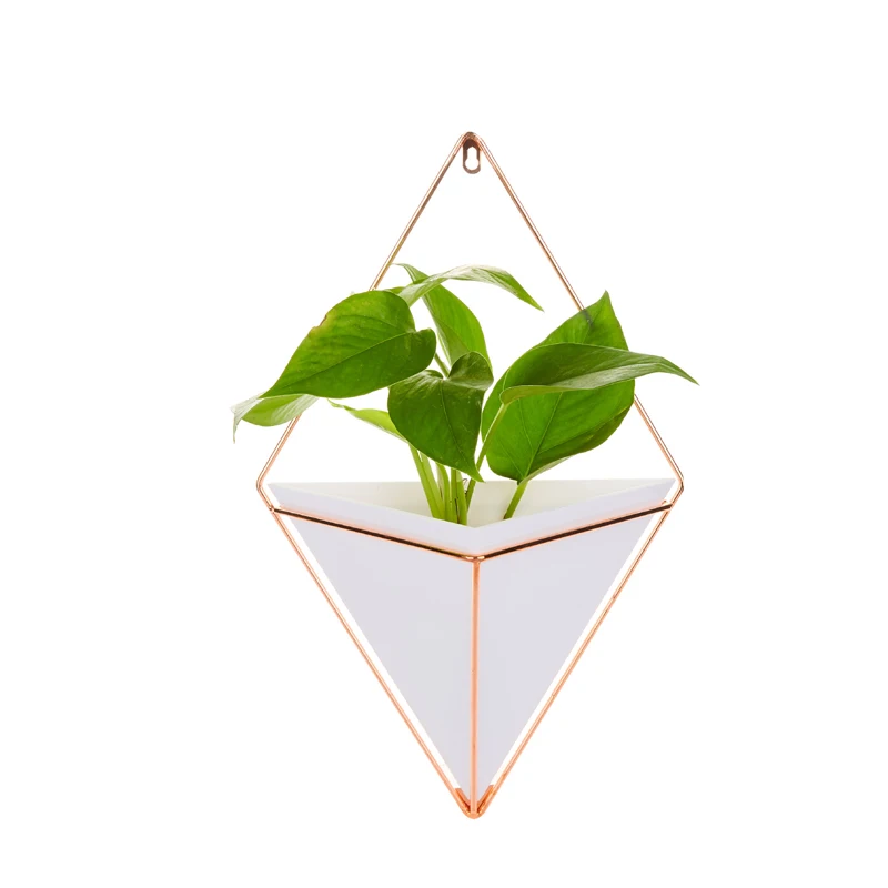 Acrylic flower Pot+ Iron Plant Holders Set Indoor Hanging Planter Geometric Vase Wall Decor Container Succulents Plant Pots