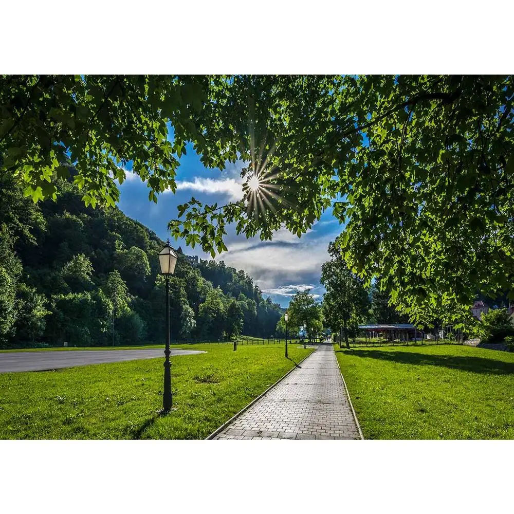 

Деревья лужайка Солнечный свет Виниловый фон для фотосъемки свадьбы возлюбленный ребенок дети фон фотостудия Фотофон Фото съемка