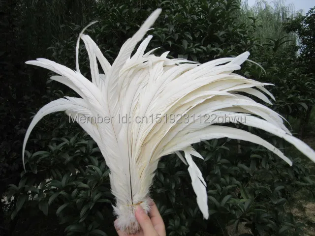 

50pcs 30-35cm /12-14inch Beige natural loose rooster feather/cock feather/chicken feather for wedding decoration/cosplay