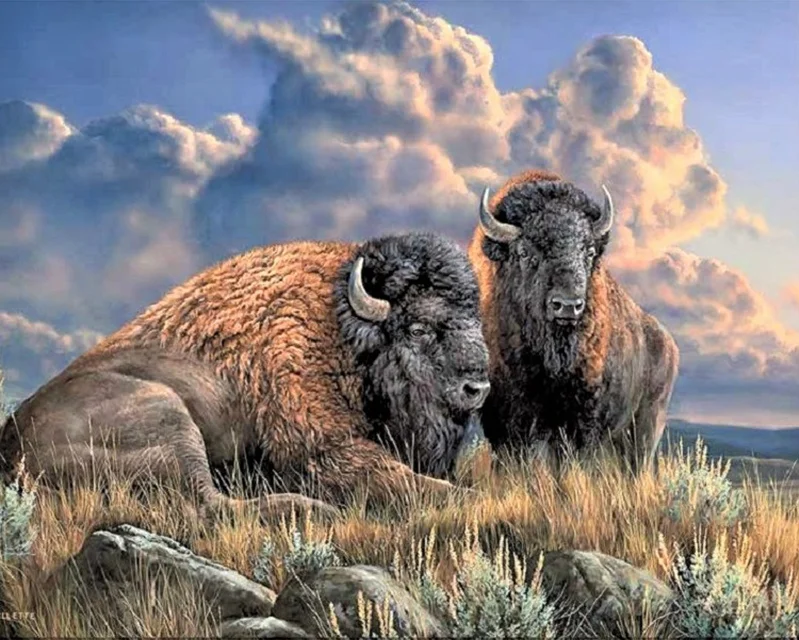 5D DIY Алмазная картина пастбища bison Вышивка крестом узор круглый горный хрусталь