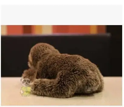 Бесплатная доставка новые милые плюшевые игрушки с тремя зубцами Ленивец TOYSCM 25