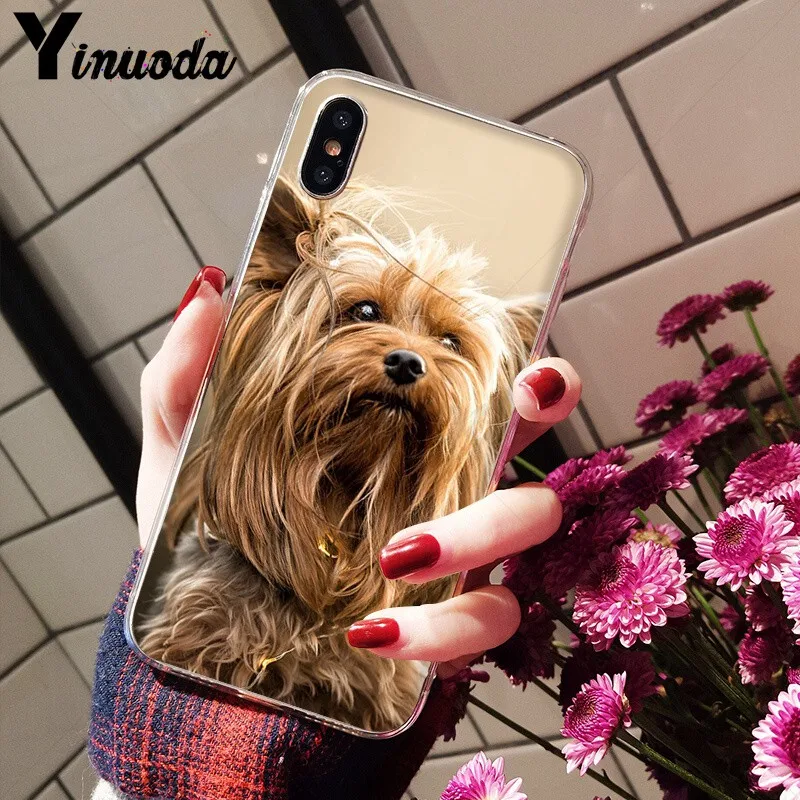 Умный чехол Yinuoda йоркширского терьера для iPhone 8 7 6 6S Plus 5 5S SE XR X XS MAX|Чехлы-накладки| |