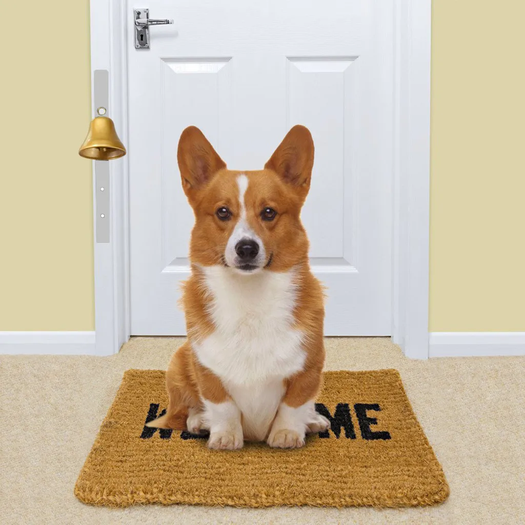 Transer Pet тренировочная Регулируемая миска для домашних животных защитная белая