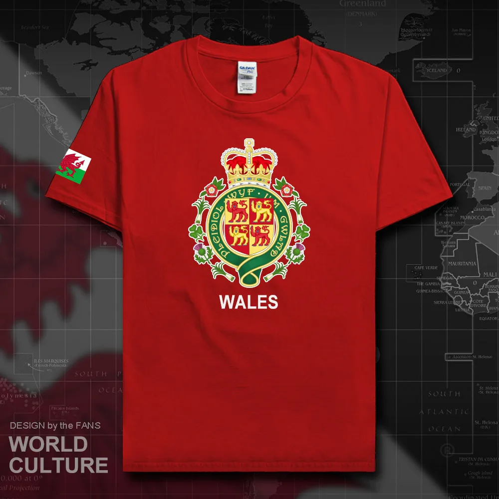 Футболка для мужчин Wales Cymru Повседневная хлопковая с принтом в виде звезд фитнеса