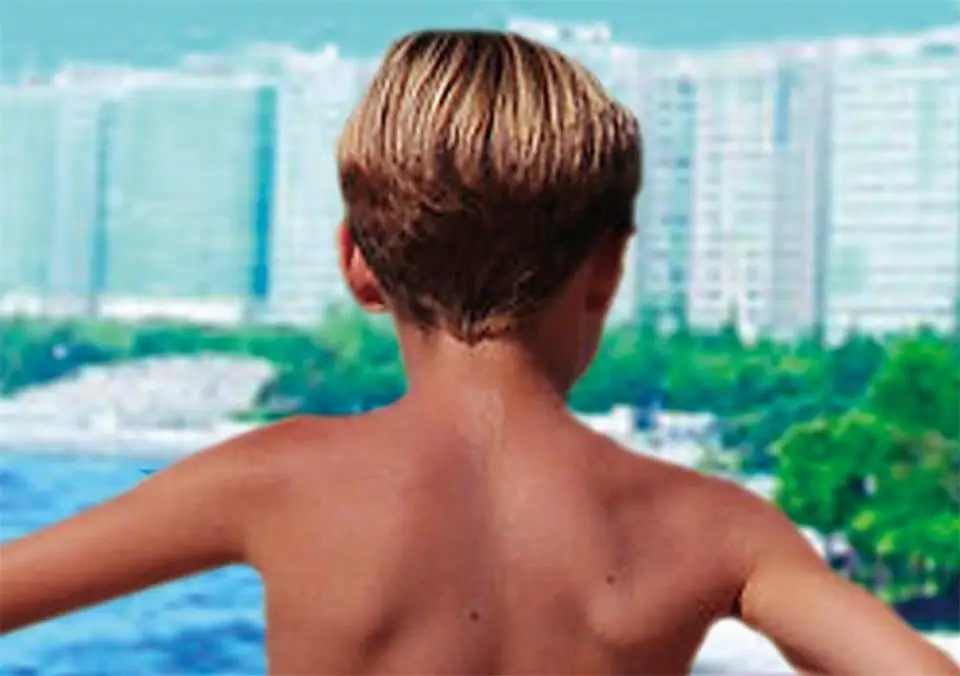 3d обои фотообои на заказ гостиная дети Фреска лето пляж дерево живопись диван ТВ